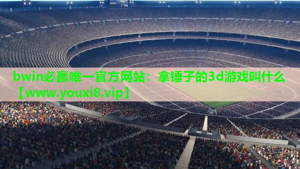 bwin必赢唯一官方网站：拿锤子的3d游戏叫什么