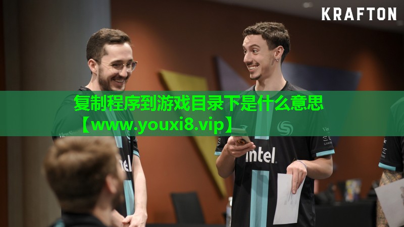 复制程序到游戏目录下是什么意思