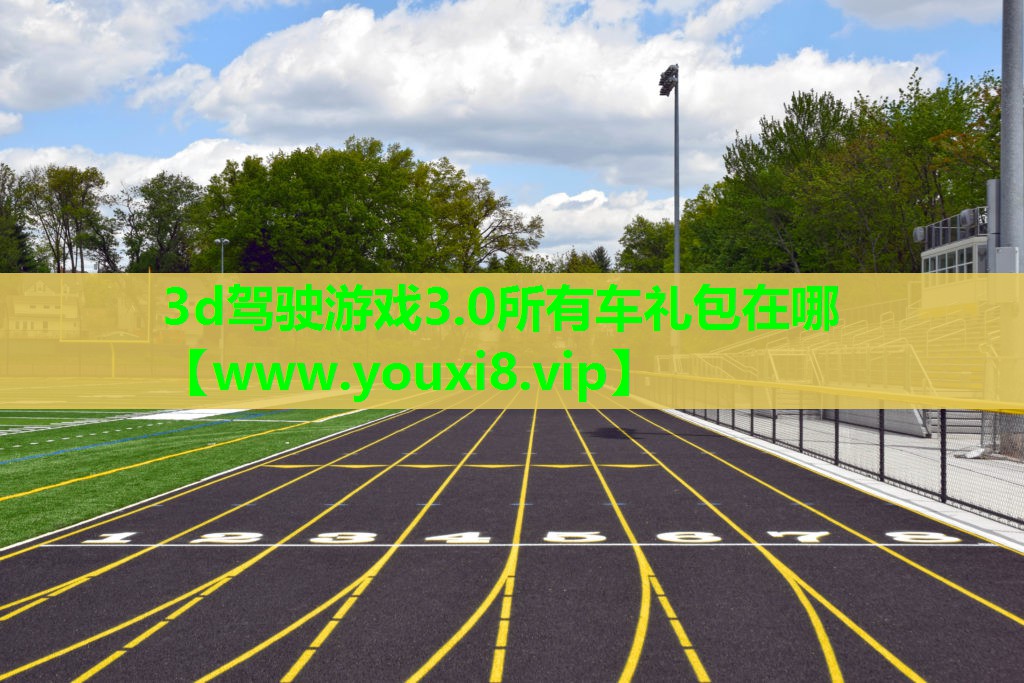 3d驾驶游戏3.0所有车礼包在哪