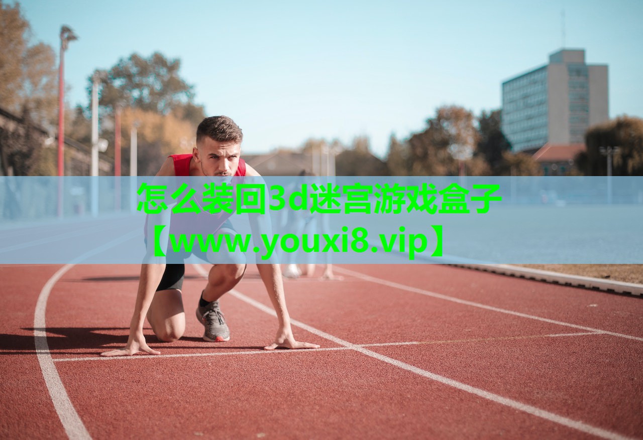 怎么装回3d迷宫游戏盒子